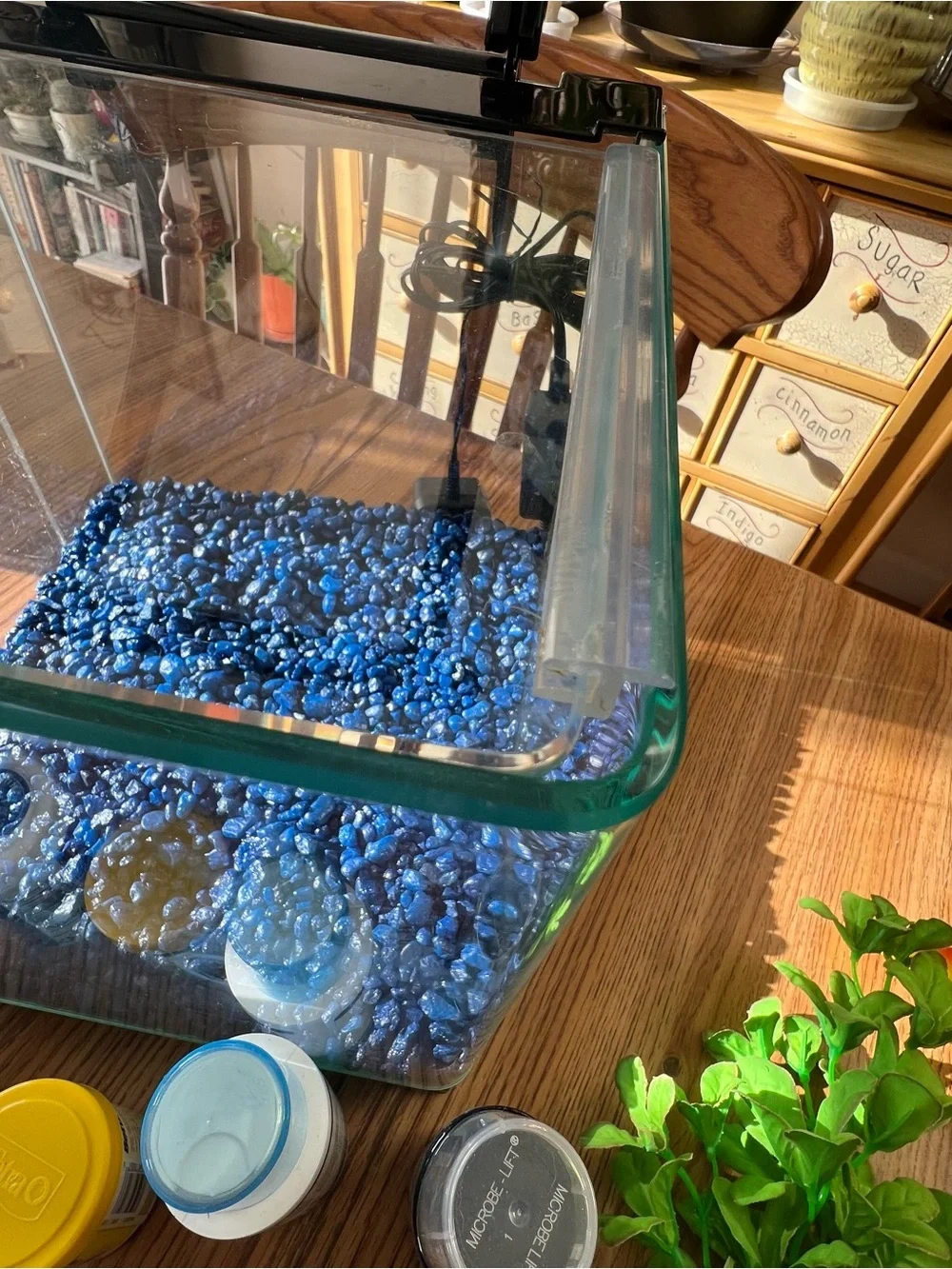 3 gallon aquarium kit